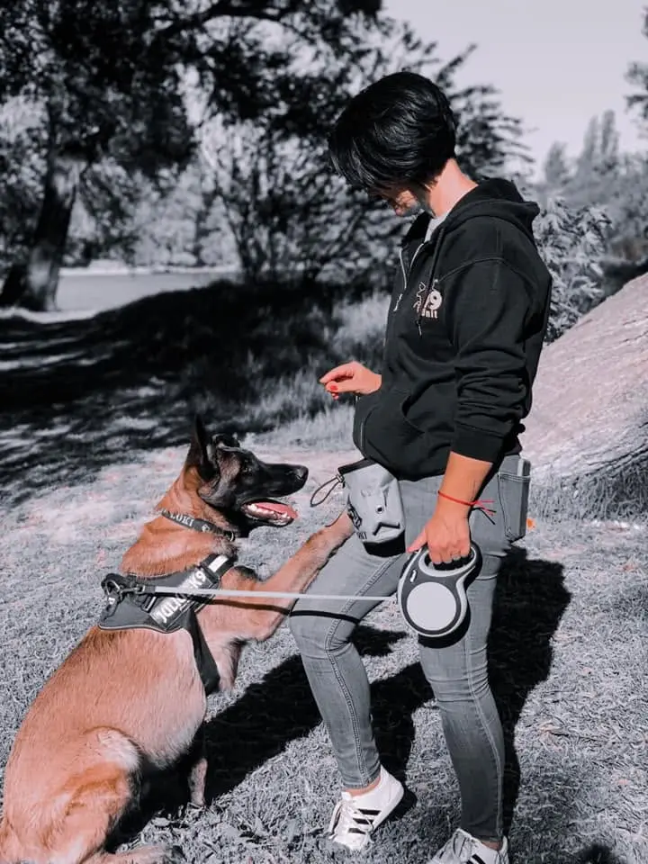 Loki &eacute;s Happy, Malinois kuty&aacute;k